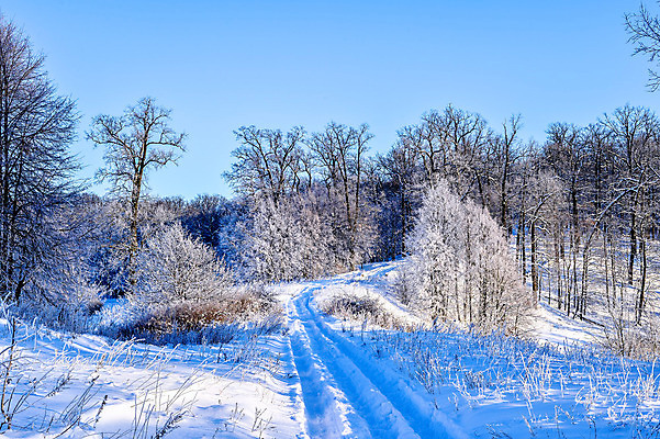 포토 JPG 해외이미지 나무 디자인 계절 공원 여행 백그라운드 크리스마스 겨울 자연 하늘 날씨 풍경 사람없음 야외 목재 파란색 빛 햇빛 태양 일출 맑음 냉동 얼음 일몰 새벽 추위 백발 흰색 나뭇가지 숲 12월 질감 서리 장면 북쪽 자작나무 1월 폭설 눈내림 해외202004 해외포토 자연요소 식물 헤어스타일 공공시설 기념일 컬러 재료 눈_날씨 노을 날짜 자연재해 방향 생태계 파일형식 이미지허브