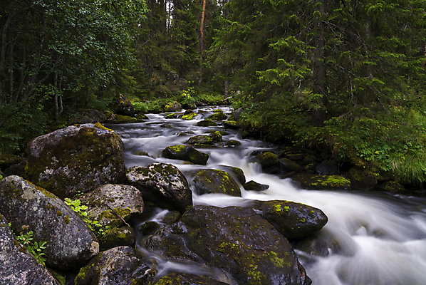 포토 JPG 해외이미지 스웨덴 사람없음 강 폭포 개울 속도 암초 해외202004 해외포토 자연 북유럽 파일형식 이미지허브
