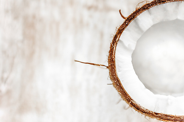 포토 JPG 해외이미지 식물 1 음료 음식 백그라운드 다이어트 과일 재료 부분 자연 건강 손바닥 사람없음 여름 갈색 우유 견과류 껍질 흰색 신선 오픈 원형 달콤 맛 자르기 먹기 오브젝트 싱글 코코넛 내추럴 고립 단절 이국적 채식주의자 해외202004 해외포토 도형 손 계절 컬러 컨셉 모션 유제품 생태계 채식 파일형식 이미지허브