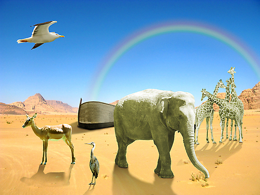 포토 JPG 해외이미지 동물 기독교 바다 백그라운드 포유류 교통시설 자연 조류 코끼리 이야기 사람없음 목재 성경 사막 보트 역사 큼 땅 홍수 기린 함선 증거 옛날 착륙 해외202004 해외포토 나무 종교 교통 배_교통 재료 종교용품 크기 자연재해 시설 생태계 파일형식 이미지허브