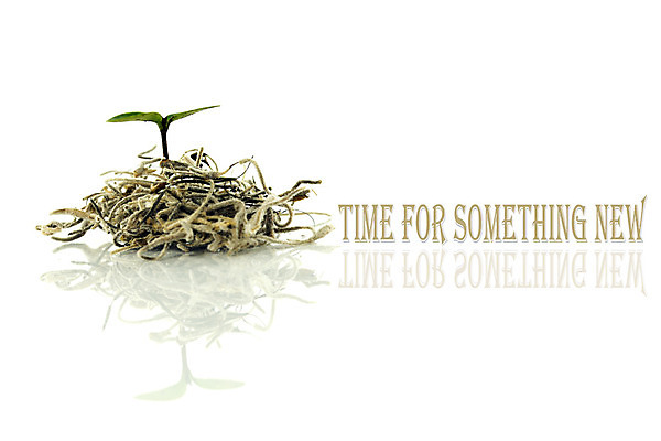 포토 JPG 해외이미지 식물 텍스트 새로움 사람없음 초록색 반사 시간 노력 바둑 카피스페이스 해외202004 해외포토 컬러 컨셉 놀이 공백 파일형식 이미지허브