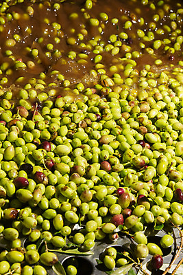 포토 JPG 해외이미지 산업 음식 농업 비즈니스 공장 모션 건강 사람없음 초록색 금속 검은색 기계 손상 수확 작업 제조 먹이 묘사 유기농 올리브 바쁨 그리스인 방앗간 방법 철강 추출 추가 해외202004 해외포토 서양인 웰빙 열매 컬러 컨셉 공업 재질 파일형식 이미지허브