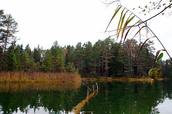 포토 JPG 해외이미지 나무 구름 호수 백그라운드 자연 하늘 풍경 사람없음 야외 초록색 물 반사 환경 침묵 시골 연못 숲 천국 혼자 해외202004 해외포토 자연요소 식물 컬러 소리 생태계 파일형식 이미지허브