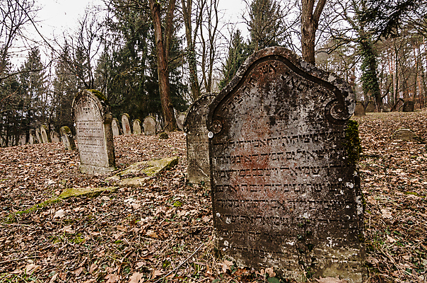 포토 JPG 해외이미지 꽃 기독교 종교 지구 백그라운드 십자가 부활절 사람없음 목재 조각상 검은색 성경 바위 기도 죽음 예수 영혼 목사 심볼 애도 신성 땅파기 신앙심 옛날 장례식 오싹 해외202004 해외포토 나무 식물 기념일 컬러 재료 종교용품 조형물 돌_바위 신_종교 성직자 파일형식 이미지허브