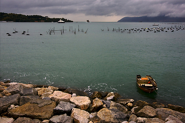 포토 JPG 해외이미지 나무 식물 구름 밧줄 파도 바다 여행 백그라운드 잎 요트 오렌지 자연 조류 하늘 휴가 항해 텐트 풍경 사람없음 목재 빨간색 물 갈색 노란색 교회 금속 항구 검은색 이탈리아 가을 바위 흰색 못 보트 역사 스파이크 석호 해외202004 해외포토 자연요소 동물 계절 유럽 줄 컬러 배_교통 과일 재료 종교건축 교통시설 재질 캠핑도구 건물 돌_바위 공구 생태계 파일형식 이미지허브