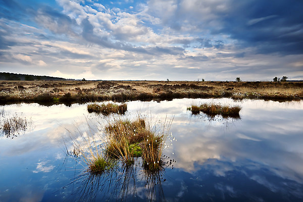포토 JPG 해외이미지 식물 구름 호수 자연 하늘 표면 날씨 풍경 사람없음 초록색 물 여름 파란색 반사 침묵 고요 젖음 흰색 시골 습지 네덜란드 변소 수평선 해외202004 해외포토 자연요소 계절 유럽 컬러 소리 생태계 파일형식 이미지허브