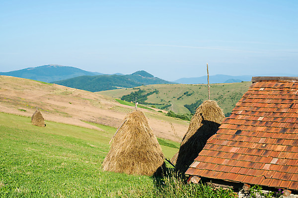 포토 JPG 해외이미지 여행 밭 농업 오렌지 자연 하늘 지붕 산 주택 풍경 잔디 사람없음 야외 목재 초록색 여름 파란색 농장 마을 맑음 시골 건초더미 볏짚 숲 오두막 타일 언덕 시골집 동쪽 헛간 내추럴 산악지대 우크라이나 수평선 해외202004 해외포토 나무 식물 계절 유럽 산업 컬러 과일 재료 날씨 건물 건초 짚 방향 생태계 저장고 파일형식 더미 이미지허브