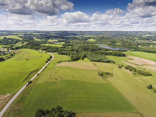 포토 JPG 해외이미지 구름 공원 산업 호수 농업 자연 하늘 바람 휴가 파노라마 풍경 사람없음 초록색 여름 환경 탑 힘 침묵 재활용 풍차 발전기 에너지 칼날 황무지 땅 프로펠러 광택 폴란드 생태학 해외202004 해외포토 자연요소 건축물 계절 공공시설 교육 유럽 컬러 날씨 촬영기법 소리 발전소 친환경 생태계 파일형식 이미지허브