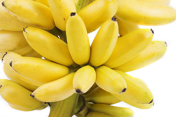 포토 JPG 해외이미지 식물 음식 줄기 백그라운드 농업 과일 재료 태국 자연 바나나 건강 사람없음 노란색 흰색 나뭇가지 신선 그룹 달콤 큼 다발 유기농 날것 고립 숙성 해외202004 해외포토 나무 웰빙 산업 아시아 컬러 맛 크기 생태계 파일형식 이미지허브