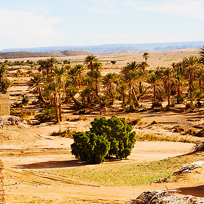 포토 JPG 해외이미지 식물 전통 문화 벽 여행 겨울 건축양식 아프리카 산 건조 파노라마 손바닥 풍경 사람없음 건물 마을 궁전 사막 바위 시골 성 중세 역사 재산 이슬람교 땅 모로코 사하라 강화 메디나 옛날 왕국 지질학 파멸 해외202004 해외포토 건축물 손 계절 교육 건축 나라 종교 컨셉 고건축 촬영기법 금융 돌_바위 파일형식 소멸 이미지허브