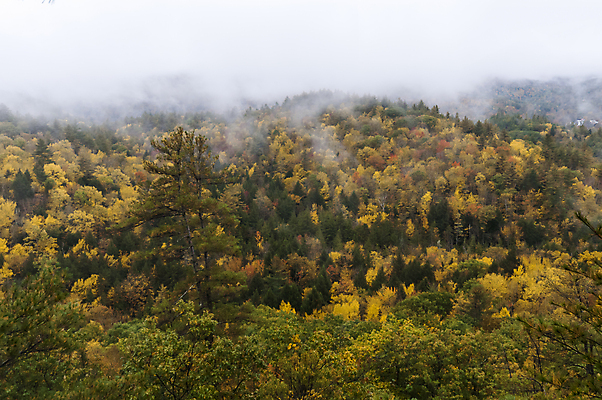 포토 JPG 해외이미지 여행 잎 자연 날씨 휴가 산 풍경 사람없음 야외 컬러풀 환경 미국 하이킹 가을 클래식 숲 멀리 10월 보호구역 생태학 해외202004 해외포토 식물 계절 교육 컬러 컨셉 북아메리카 레저 날짜 생태계 구역 파일형식 이미지허브