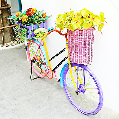 포토 JPG 해외이미지 공원 꽃 벽 꽃다발 여행 백그라운드 꽃무늬 자연 사람없음 장식 빨간색 파란색 바구니 정원 자전거 수확 골동품 흰색 꽃집 묘사 복고 순환 옛날 인공 스타일 해외202004 해외포토 식물 공공시설 컬러 무늬 농업 모션 상점 바이크 생태계 파일형식 이미지허브