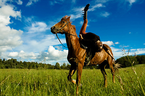 포토 JPG 해외이미지 동물 백인 구름 직업 라이프스타일 여자 남자 스포츠 포즈 컨셉 신체 장난 포유류 자연 하늘 건강 한명 야외 여름 반려동물 농장 갈색 점프 경쟁 목장 장비 자유 우승 승마 우아함 승차 서커스 쇼 안장 굴레 해외202004 해외포토 자연요소 서양인 1 계절 컬러 농업 모션 사람 생활 최고 생태계 파일형식 이미지허브