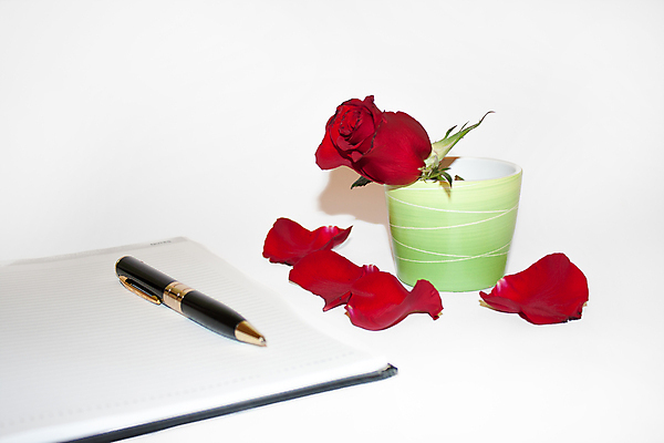 포토 JPG 해외이미지 식물 꽃잎 꽃 백그라운드 꽃무늬 자연 휴가 발렌타인데이 선물 사랑 사람없음 야외 빨간색 여름 연필 장미 벚꽃 축하 신선 개화 닫기 편지 싱글 내추럴 해외202004 해외포토 계절 감정 컬러 컨셉 무늬 모션 데이이벤트 학용품 필기구 생태계 파일형식 이미지허브