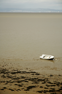 포토 JPG 해외이미지 모래 바다 여행 조류 낚시 사람없음 물 갈색 흰색 만 보트 나룻배 포트 옛날 해외202004 해외포토 자연요소 동물 컬러 배_교통 레저 파일형식 이미지허브