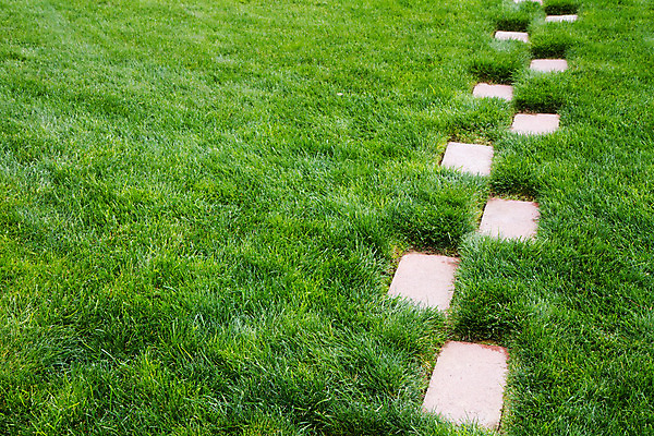 포토 JPG 해외이미지 공원 길 밭 자연 추상 풍경 잔디 사람없음 야외 초록색 여름 평화 맑음 침묵 봄 산책 성장 바위 보호 오솔길 원예 조경 장면 내추럴 뒤뜰 해외202004 해외포토 식물 계절 공공시설 컬러 컨셉 무늬 농업 날씨 휴식 취미 소리 돌_바위 생태계 파일형식 이미지허브