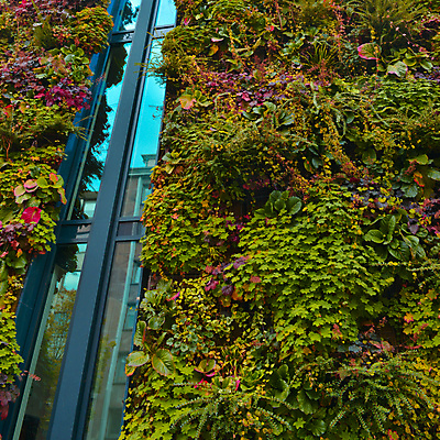 포토 JPG 해외이미지 식물 배너 벽 백그라운드 잎 패턴 건축양식 창문 자연 새로움 주택 프레임 광고판 사람없음 야외 건물 초록색 울타리 태양 환경 맑음 성장 커튼 덩굴 허브 묘사 에코 질감 공포 문학 리빙 내추럴 경보 해외202004 해외포토 자연요소 건축물 건축 컬러 컨셉 무늬 날씨 알림판 담장 생태계 판 파일형식 이미지허브