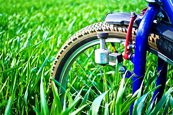 포토 JPG 해외이미지 공원 도로 스포츠 여행 밭 자국 자연 하늘 건강 풍경 잔디 사람없음 야외 초록색 여름 파란색 햇빛 맑음 자전거 봄 운전 시골 바퀴 승차 순환 장면 사이클링 바이킹 페달 해외202004 해외포토 식물 계절 공공시설 길 컬러 농업 교통시설 모션 날씨 태양 바이크 육상스포츠 생태계 파일형식 이미지허브