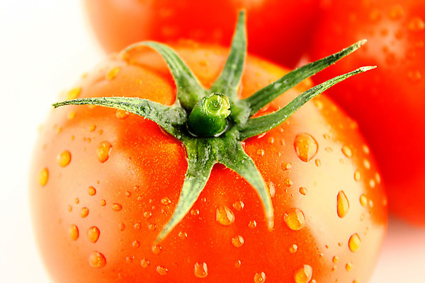 포토 JPG 해외이미지 음식 백그라운드 농업 다이어트 토마토 채소 과일 자연 건강 사람없음 빨간색 초록색 물 흰색 물방울 신선 떨어짐 이슬 오브젝트 유기농 내추럴 고립 숙성 채식주의자 해외202004 해외포토 자연요소 웰빙 산업 컬러 컨셉 생태계 채식 파일형식 이미지허브