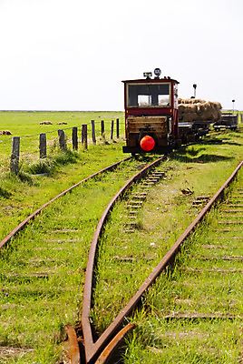 포토 JPG 해외이미지 바다 자연 조류 하늘 풍경 사람없음 물 여름 썰물 북쪽 해외202004 해외포토 자연요소 동물 계절 방향 생태계 파일형식 이미지허브