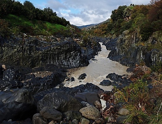 포토 JPG 해외이미지 벽 자연 산 선인장 풍경 경사 사람없음 초록색 물 강 골짜기 계곡 어둠 이탈리아 회색 흐름 바위 부식 화산 좁은 지질학 현무암 해외202004 해외포토 자연요소 식물 교육 유럽 컬러 컨셉 돌_바위 생태계 화산암 파일형식 이미지허브