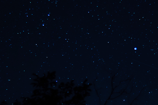 포토 JPG 해외이미지 나무 별 모션 자연 하늘 사람없음 야외 파란색 빛 우주 어둠 별자리 분위기 야간 저녁 심플 점성술 해외202004 해외포토 자연요소 식물 컬러 컨셉 생태계 파일형식 이미지허브