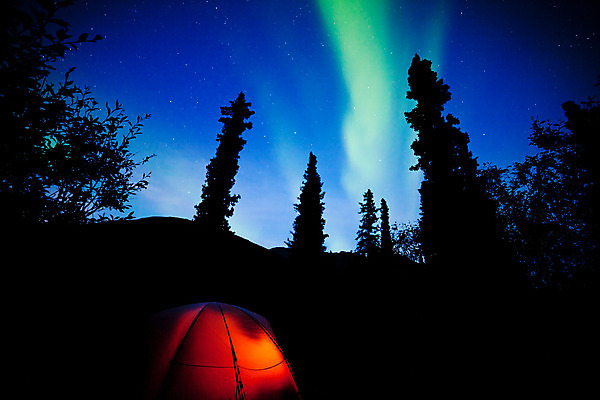 포토 JPG 해외이미지 외관 실루엣 별 여행 오렌지 자연 하늘 휴가 불꽃 전등 텐트 풍경 사람없음 야외 초록색 파란색 빛 어둠 꿈 캠핑 잠 야간 숲 북쪽 알래스카 빛망울 오로라 내추럴 광 원정 현상 해외202004 해외포토 자연요소 컬러 과일 자연현상 불 레저 조명 촬영기법 캠핑도구 미국 방향 생태계 파일형식 이미지허브