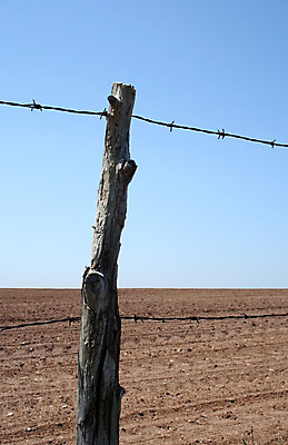 포토 JPG 해외이미지 캐나다 밭 농업 하늘 안전 사람없음 목재 울타리 농장 농경지 금속 봄 시골 못 위험 땅 투표 철 부식 보안 철사 펜싱 땅바닥 방목장 수목 옛날 해외202004 해외포토 나무 계절 산업 스포츠 컨셉 북아메리카 재료 재질 바닥 담장 공구 선거 파일형식 이미지허브