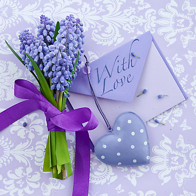 포토 JPG 해외이미지 꽃 리본 꽃다발 잎 봄꽃 휴가 봉투 부활절 발렌타인데이 선물 사랑 사람없음 장식 초록색 컬러풀 귀여움 보라색 봄 수확 벚꽃 하트 신선 점 생일 개화 작음 편지 활 정사각형 라일락 히아신스 카피스페이스 해외202004 해외포토 모양 도형 식물 계절 기념일 감정 컬러 컨셉 농업 데이이벤트 공백 크기 파일형식 이미지허브