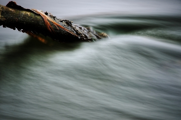 포토 JPG 해외이미지 나무 식물 공원 호수 파도 자국 자연 하늘 파노라마 사람없음 야외 목재 초록색 물 파란색 강 반사 검은색 회색 흰색 나뭇가지 연못 액체 개울 숲 절정 해외202004 해외포토 자연요소 공공시설 바다 컬러 재료 촬영기법 생태계 파일형식 이미지허브