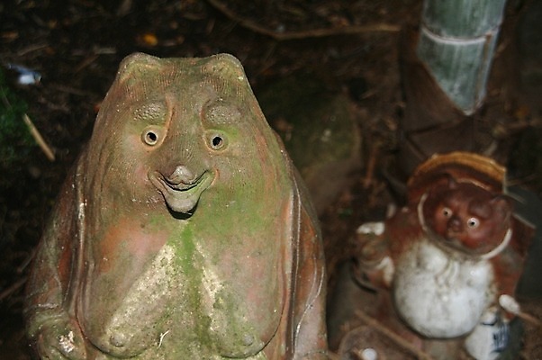 포토 JPG 해외이미지 여자 행복 아시아 어린이 캠페인 불교 사람없음 일본 시골 사찰 행운 가슴 심볼 기회 해외202004 해외포토 감정 나라 종교 컨셉 종교건축 사람 신체부위 파일형식 이미지허브