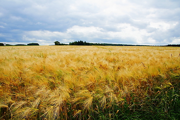 포토 JPG 해외이미지 사람없음 여름 해외202004 해외포토 계절 파일형식 이미지허브