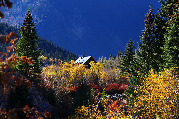 포토 JPG 해외이미지 나무 식물 계절 공원 여행 백그라운드 잎 자연 산 주택 풍경 사람없음 야외 건물 목재 컬러풀 노란색 미국 가을 시골 분위기 황금 숲 은퇴 투자 북쪽 강렬 서쪽 전국 절정 콜로라도 해외202004 해외포토 건축물 공공시설 컬러 컨셉 북아메리카 비즈니스 재료 방향 생태계 파일형식 이미지허브
