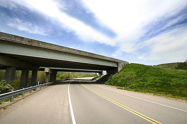 포토 JPG 해외이미지 나무 도로 길 여행 자동차 자연 하늘 사람없음 초록색 산책 도시 고가도로 고속도로 환경오염 숲 통로 시멘트 통과 콘크리트 해외202004 해외포토 식물 육상교통 컬러 컨셉 교통시설 휴식 생태계 파일형식 이미지허브