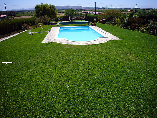 포토 JPG 해외이미지 나무 라이프스타일 스포츠 바다 여행 자연 호텔 휴가 휴식 사람없음 물 파란색 태양 맑음 수영 스파 침묵 고급 휴양지 선베드 해외202004 해외포토 자연요소 식물 컬러 컨셉 의자 숙소 날씨 생활 소리 장소 수상스포츠 생태계 파일형식 이미지허브