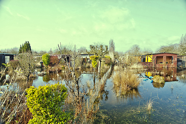 포토 JPG 해외이미지 나무 식물 자연 날씨 주택 사람없음 건물 환경 정원 수확 시골 파편 오두막 신비 폐허 원예 복고 마법 낭비 그런지 썩음 옛날 판잣집 필터 해외202004 해외포토 건축물 컨셉 농업 취미 생태계 파일형식 이미지허브