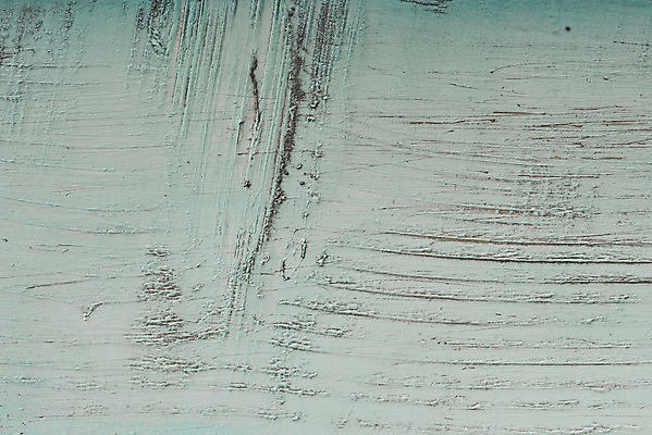 포토 JPG 해외이미지 나무 백그라운드 근접촬영 사람없음 목재 흰색 질감 카피스페이스 해외202004 해외포토 식물 뷰포인트 컬러 재료 공백 파일형식 이미지허브