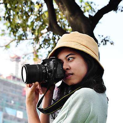 포토 JPG 해외이미지 나무 직업 응시 계절 공원 감정 잎 자연 창조 한명 취미 야외 햇빛 카메라 디지털 사진촬영 손상 사진사 집중 그림 슛 셔터 아마추어 해외202004 해외포토 식물 1 시선 공공시설 컨셉 사람 전자제품 태양 촬영 작가 생태계 파일형식 이미지허브