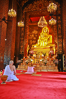 포토 JPG 해외이미지 전통 아시아 종교 문화 조각 불교 건축양식 태국 미술 동양인 사람없음 장식 조각상 평화 믿음 골동품 사찰 역사 황금 묘사 방콕 신성 사당 숭배 신앙심 스타일 해외202004 해외포토 건축 감정 나라 컨셉 종교건축 문화예술 인종 조형물 파일형식 이미지허브