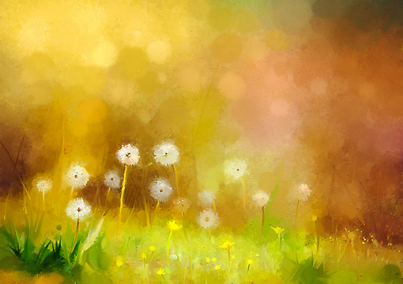 JPG 해외이미지 꽃 일러스트 사람없음 노란색 그림 손그림 민들레홀씨 유화 해외202004 해외일러스트 식물 컬러 미술 민들레 파일형식 이미지허브