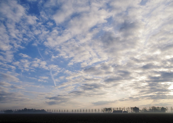 포토 JPG 해외이미지 나무 구름 자연 아침 풍경 사람없음 안개 시골 고속도로 네덜란드 줄서기 해외202004 해외포토 주간 자연요소 식물 유럽 도로 모션 날씨 생태계 파일형식 이미지허브