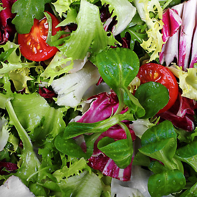 포토 JPG 해외이미지 접시 유럽 음식 백그라운드 잎 다이어트 토마토 채소 재료 건강 요리 사람없음 빨간색 초록색 식당 식사 저녁식사 샐러드 신선 상추 먹기 허브 메뉴 올리브 질감 양배추 칼로리 설정 그리스인 채식주의자 해외202004 해외포토 서양인 식물 식기 열매 나라 컬러 모션 상점 채식 파일형식 이미지허브