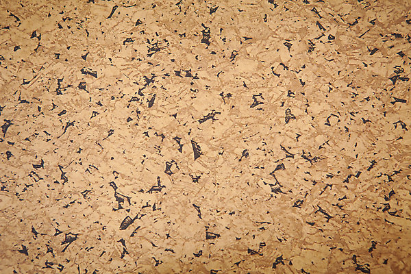 포토 JPG 해외이미지 나무 디자인 벽 백그라운드 패턴 자연 벽지 탁자 표면 추상 바닥 사람없음 내부 목재 장식 빛 갈색 어둠 수확 판넬 거친 널 타일 묘사 질감 목공예 잡동사니 그런지 깊이 수목 옛날 해외202004 해외포토 식물 컬러 가구 무늬 농업 재료 공예 생태계 파일형식 이미지허브