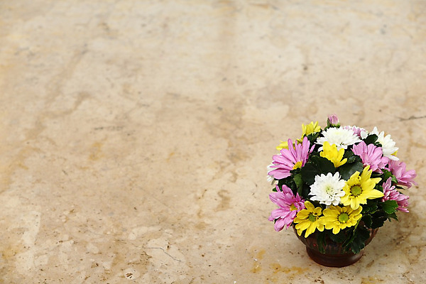 포토 JPG 해외이미지 식물 디자인 꽃잎 꽃 분홍색 꽃다발 백그라운드 잎 꽃무늬 오렌지 자연 유리 탁자 발렌타인데이 선물 사랑 사람없음 장식 초록색 컬러풀 노란색 꽃병 보라색 벚꽃 흰색 신선 원형 우아함 다발 배열 꽃집 대리석 내추럴 해외202004 해외포토 도형 감정 컬러 가구 컨셉 무늬 과일 재료 데이이벤트 재질 상점 생태계 파일형식 이미지허브