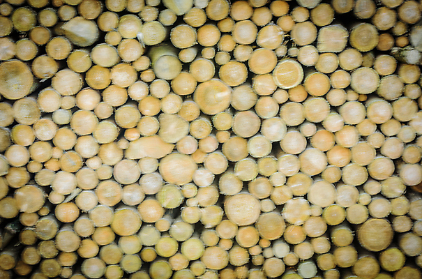 포토 JPG 해외이미지 모양 디자인 산업 백그라운드 컨셉 패턴 추상 프레임 건조 사람없음 목재 장식 쌓기 시골 원형 소프트포커스 장작 질감 레이아웃 통나무 잡동사니 구성 블러 수목 엘리먼트 카피스페이스 개조 해외202004 해외포토 도형 나무 무늬 재료 모션 촬영기법 공백 파일형식 이미지허브