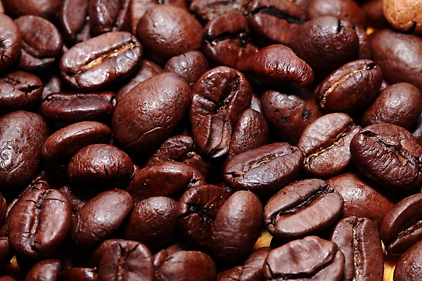 포토 JPG 해외이미지 커피 음료 음식 백그라운드 농업 재료 자연 벽지 콩 씨앗 사람없음 농작물 갈색 우주 검은색 어둠 에너지 흰색 신선 뜨거움 닫기 맛 낟알 굽기 질감 아로마 향 카푸치노 에스프레소 흙더미 내추럴 고립 모카 아랍어 옛날 카페인 해외202004 해외포토 식물 산업 컬러 컨셉 모션 곡류 흙 구이 생태계 파일형식 더미 이미지허브