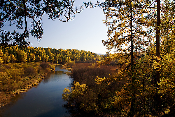 포토 JPG 해외이미지 나무 계절 낙엽 잎 자연 하늘 풍경 사람없음 야외 빨간색 초록색 물 파란색 빛 햇빛 노란색 자유 가을 황금 숲 지역 10월 해외202004 해외포토 자연요소 식물 컬러 컨셉 태양 날짜 생태계 파일형식 이미지허브