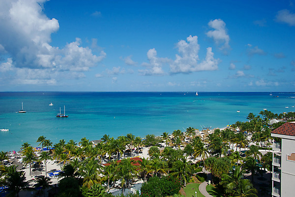 포토 JPG 해외이미지 나무 휴가 선인장 사람없음 물 야자수 해외202004 해외포토 자연요소 식물 파일형식 이미지허브