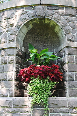 포토 JPG 해외이미지 식물 꽃 벽 사람없음 정원 묘사 해외202004 해외포토 파일형식 이미지허브