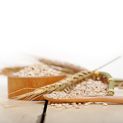 포토 JPG 해외이미지 근접촬영 사람없음 농작물 낟알 보리 보리이삭 해외202004 해외포토 뷰포인트 농업 곡류 이삭 파일형식 이미지허브